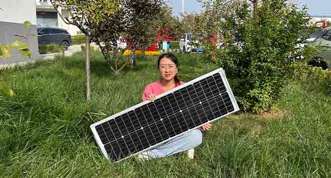 solar street lights